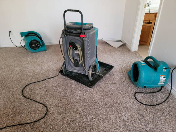 Best Water damage restoration specialists  in Ome, GA