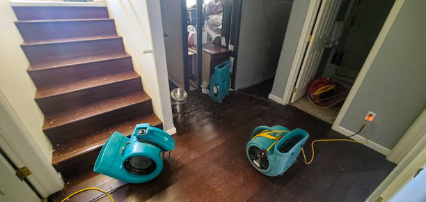 Best Water damage restoration near me  in Ome, GA