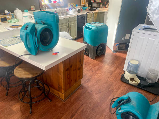 Best Local water damage restoration  in Ome, GA