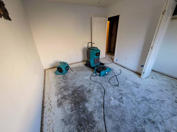 Best Flood restoration services  in Ome, GA
