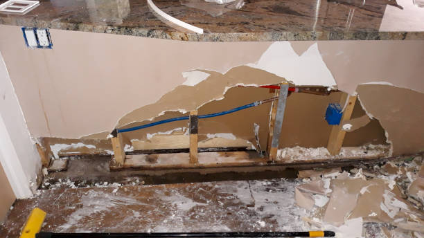 Best Commercial water damage restoration  in Ome, GA