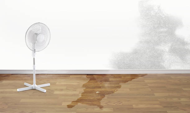 Best Sewage cleanup and water damage restoration  in Ome, GA