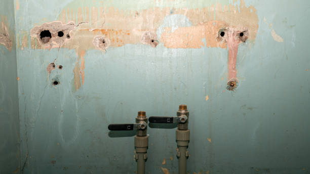 Best Mold removal after water damage  in Ome, GA
