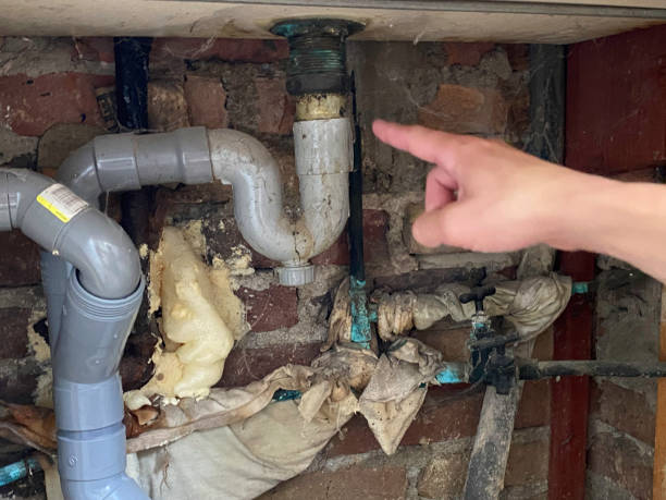 Best Water damage contractors near me  in Ome, GA
