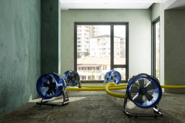 Best Local water damage restoration  in Ome, GA