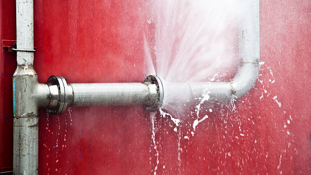 Best Ceiling water damage repair  in Ome, GA